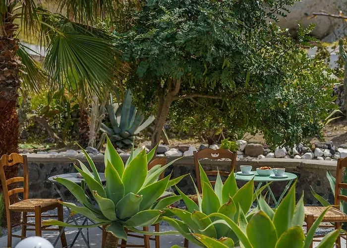 Crown Cactus Cave メッサリア