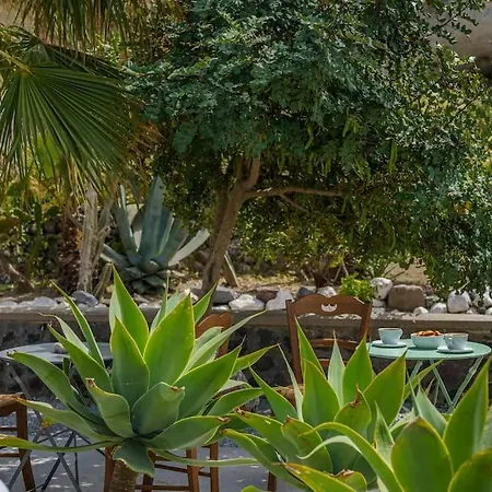 Crown Cactus Cave 메사리아