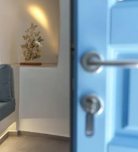 Crown Cactus Cave Willa *