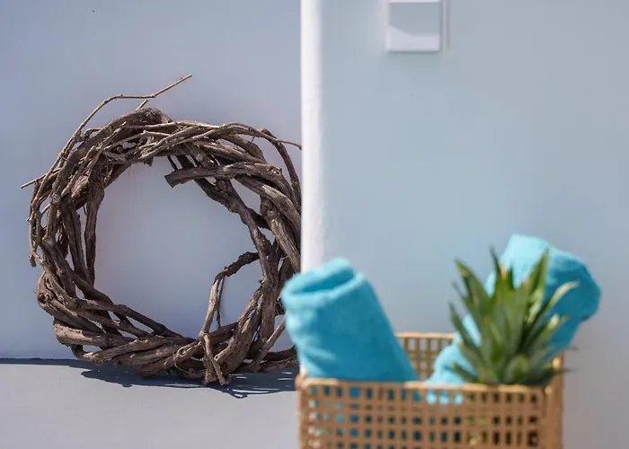 Willa Crown Cactus Cave *